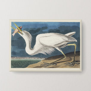 Vintage Audubon Great White Heron Bird Art