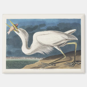 Vintage Audubon Great White Heron Bird Art Magnet