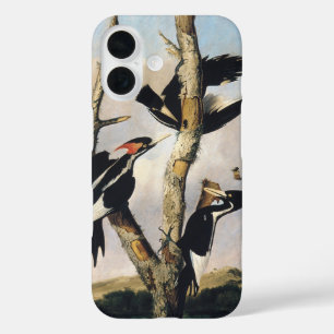 Vintage Audubon Ivory Billed Woodpecker Art iPhone 16 Case