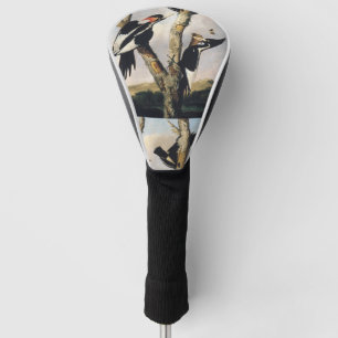 Vintage Audubon Ivory Billed Woodpecker Art Golf Head Cover