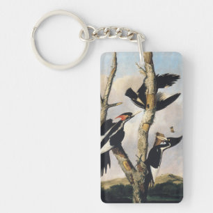 Vintage Audubon Ivory Billed Woodpecker Art Key Ring