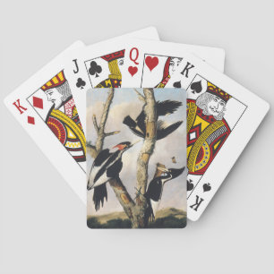 Vintage Audubon Ivory Billed Woodpecker Art Playing Cards