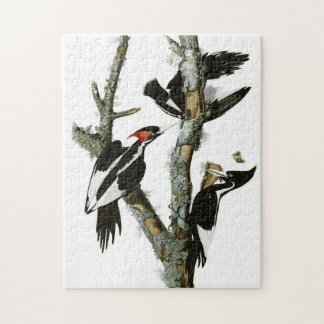 Vintage Audubon Ivory-billed Woodpecker Painting Jigsaw Puzzle
