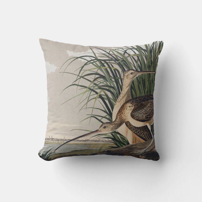 Vintage Audubon Long-billed Curlew Bird Art Cushion (Front)