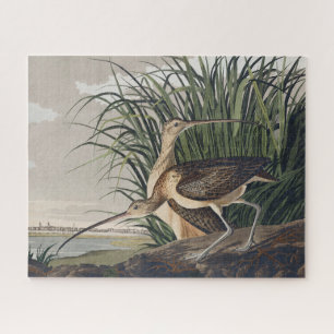 Vintage Audubon Long-billed Curlew Bird Art Jigsaw Puzzle