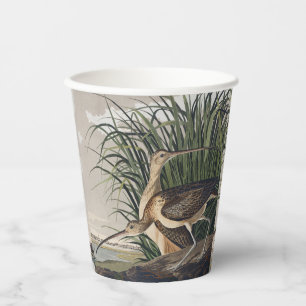 Vintage Audubon Long-billed Curlew Bird Art Paper Cups