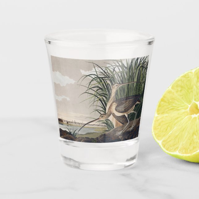 Vintage Audubon Long-billed Curlew Bird Art Shot Glass (Front)