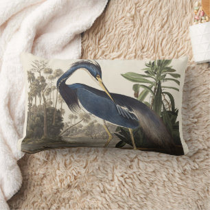 Vintage Audubon Louisiana Heron Bird Art Lumbar Cushion
