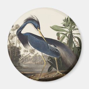 Vintage Audubon Louisiana Heron Bird Art Magnet
