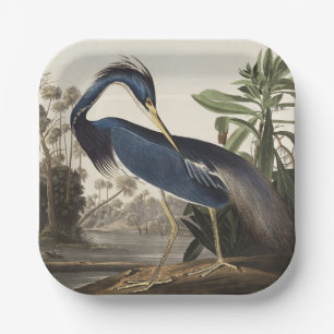 Vintage Audubon Louisiana Heron Bird Art Paper Plate