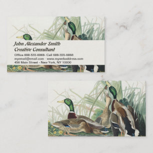 Vintage Audubon Mallard Duck Wildlife Art Business Card