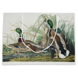 Vintage Audubon Mallard Duck Wildlife Art Large Gift Bag