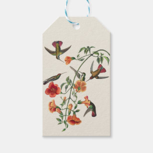 Vintage Audubon Mango Hummingbirds Flowers Gift Tags