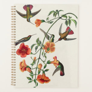 Vintage Audubon Mango Hummingbirds Flowers Planner