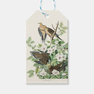 Vintage Audubon Mourning Dove Bird Flower Art Gift Tags