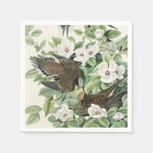 Vintage Audubon Mourning Dove Bird Flower Art Napkin