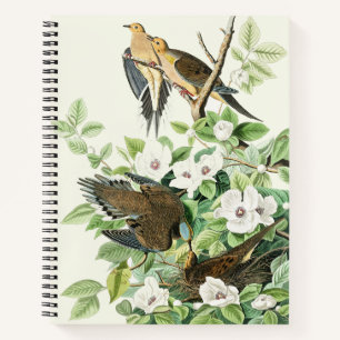 Vintage Audubon Mourning Dove Bird Flower Art Notebook