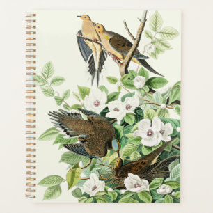 Vintage Audubon Mourning Dove Bird Flower Art Planner