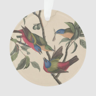 Vintage Audubon Painted Bunting Colourful Bird Art Ornament