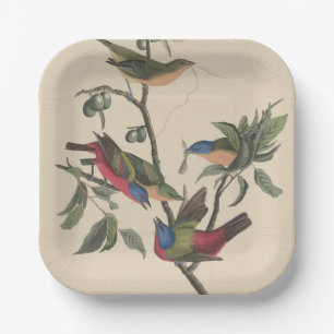 Vintage Audubon Painted Bunting Colourful Bird Art Paper Plate