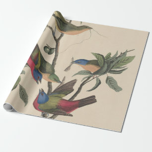 Vintage Audubon Painted Bunting Colourful Bird Art Wrapping Paper