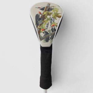 Vintage Audubon Pileated Woodpecker Bird Art Golf Head Cover