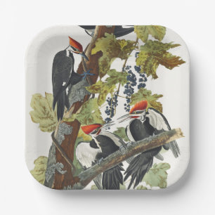 Vintage Audubon Pileated Woodpecker Bird Art Paper Plate