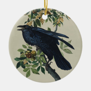 Vintage Audubon Raven Bird Nature Art Ceramic Tree Decoration