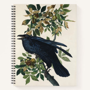 Vintage Audubon Raven Bird Nature Art Notebook
