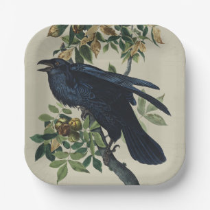 Vintage Audubon Raven Bird Nature Art Paper Plate