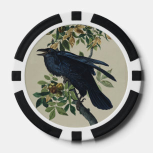 Vintage Audubon Raven Bird Nature Art Poker Chips