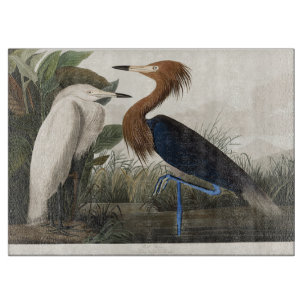 Vintage Audubon Reddish Egret Bird Art Cutting Board