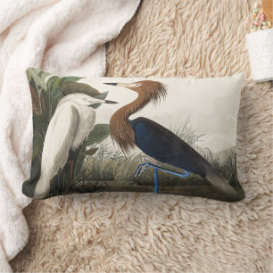 Vintage Audubon Reddish Egret Bird Art Lumbar Cushion