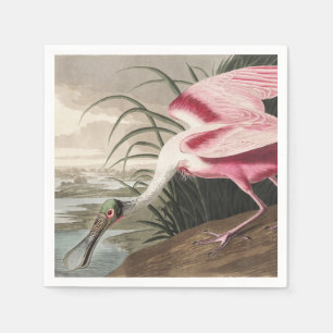 Vintage Audubon Roseate Spoonbill Bird Art Napkin