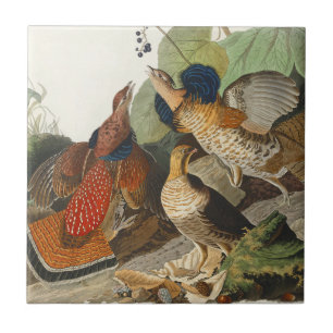 Vintage Audubon Ruffed Grouse Bird Nature Art Tile
