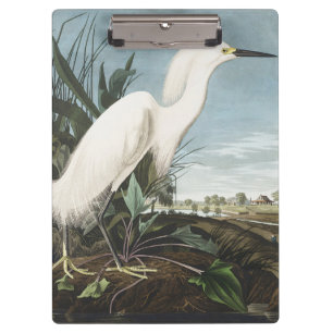 Vintage Audubon Snowy Heron White Egret Bird Art Clipboard
