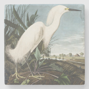 Vintage Audubon Snowy Heron White Egret Bird Art Stone Coaster