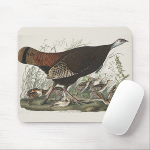 Vintage Audubon Wild Turkey Hen & Young Art Mouse Pad