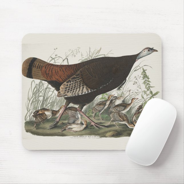 Vintage Audubon Wild Turkey Hen & Young Art Mouse Pad (With Mouse)