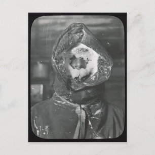 Vintage Australasian Antarctic Expedition postcard