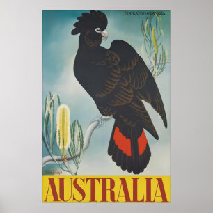 Vintage Australia Travel Poster Black Cockatoo