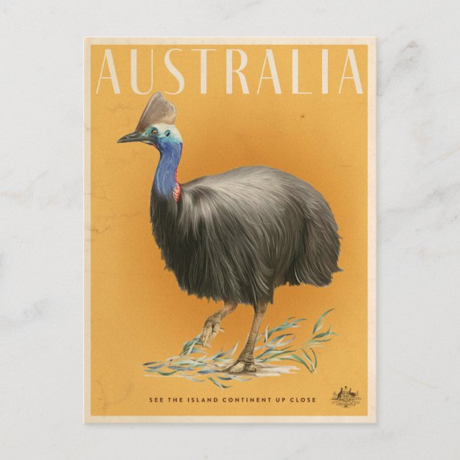 Vintage Australian Cassowary travel poster Postcard (Front)
