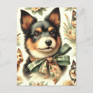 Vintage Australian Terrier Painting Illustration Postcard
