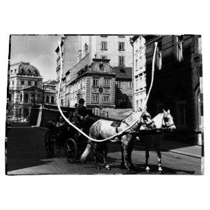 Vintage Austria Vienna Dreimaderlhaus Fiaker Large Gift Bag