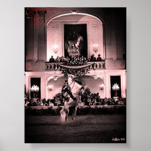 Vintage Austria Vienna Spanish Courbette Poster