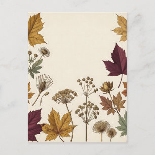 Vintage Autumn Botanical Leaves Seed Heads Postcard