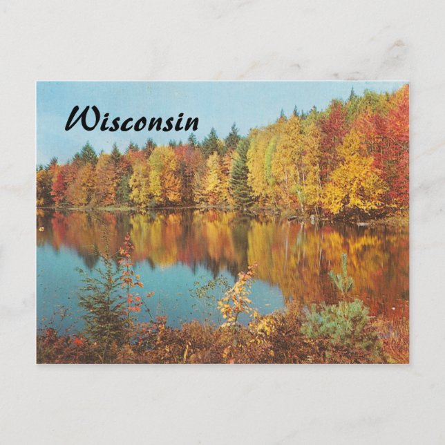 Vintage Autumn Scene Postcard (Front)