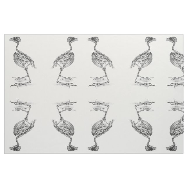 Vintage baby bird skeleton etching fabric (Fat Quarter)