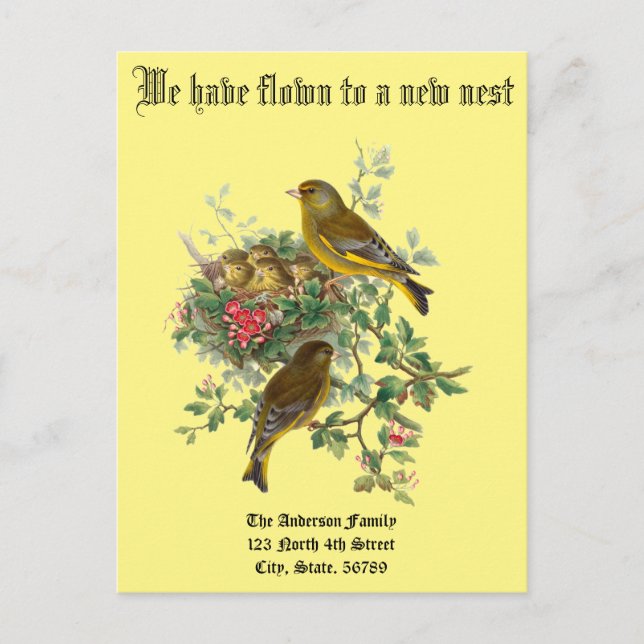 Vintage Baby Birds Nest New Home Announcement Postcard (Front)