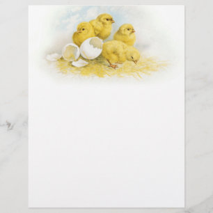 Vintage Baby Chickens